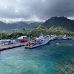 La gran estrategia china en el Pacífico Sur: la batalla por los recursos valiosos y la supremacía global