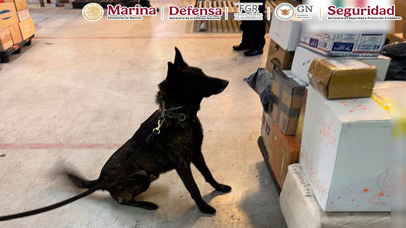 Novedoso hallazgo en la capital: autoridades federales confiscan considerable cantidad de sustancias prohibidas en el Aeropuerto Internacional de la Ciudad de México